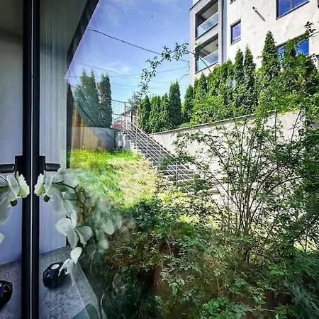 Excel - Dealul Morii *